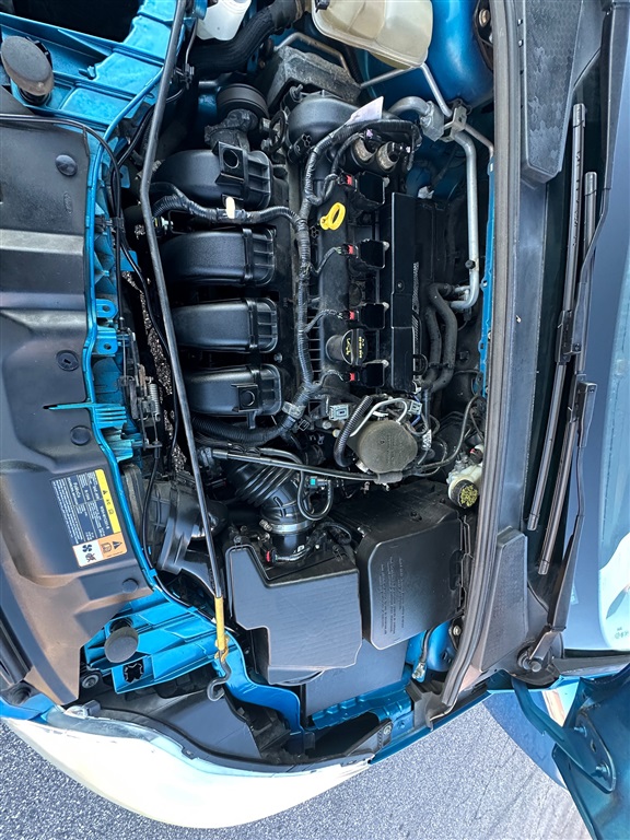 2014 Ford Focus SE photo