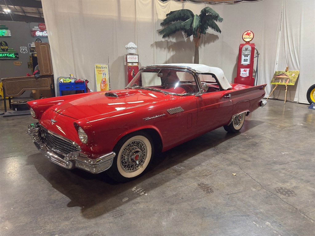 1957 Ford Thunderbird Roadster 19