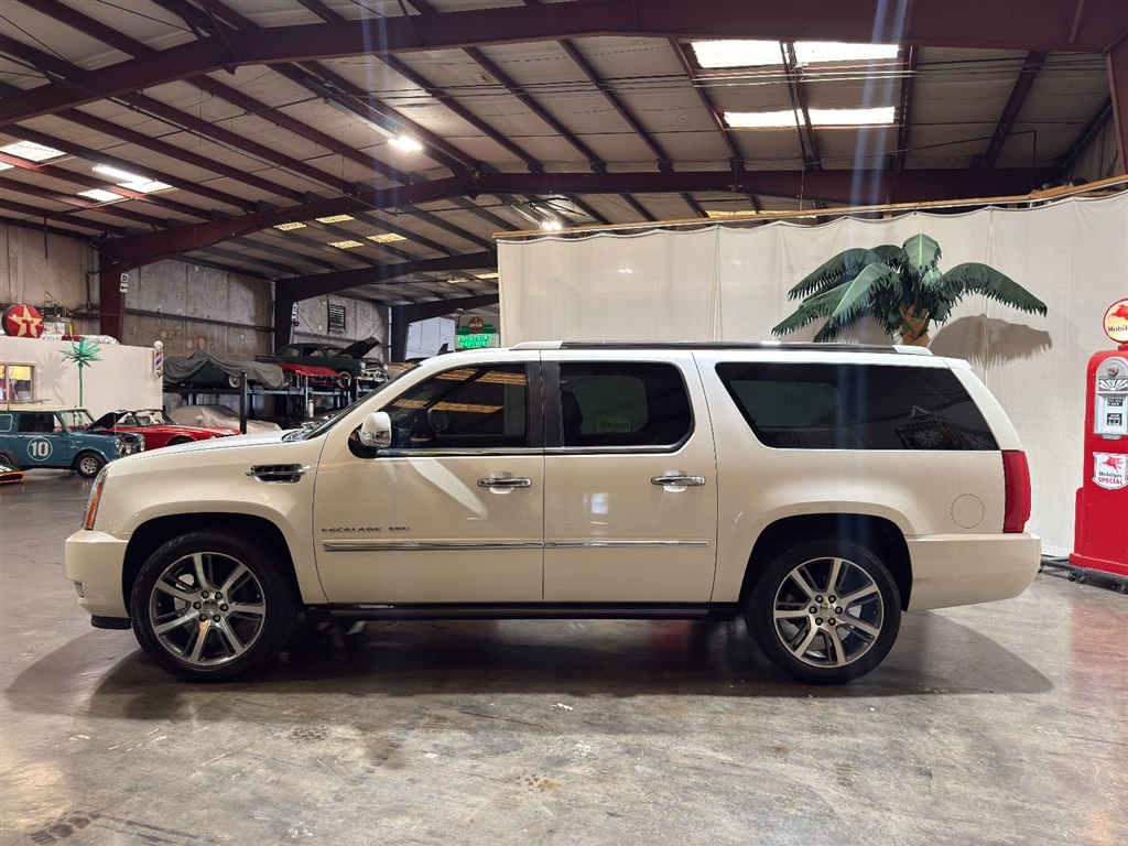 2010 Cadillac Escalade ESV 14