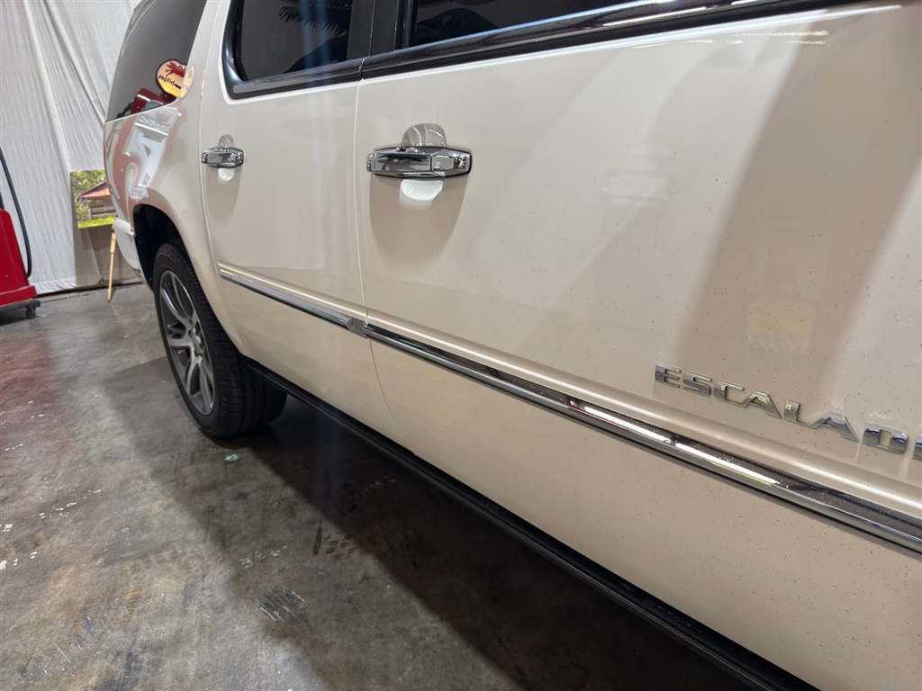 2010 Cadillac Escalade ESV 31