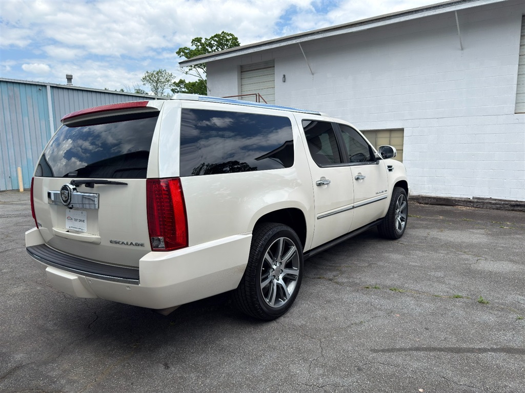 2010 Cadillac Escalade ESV 96