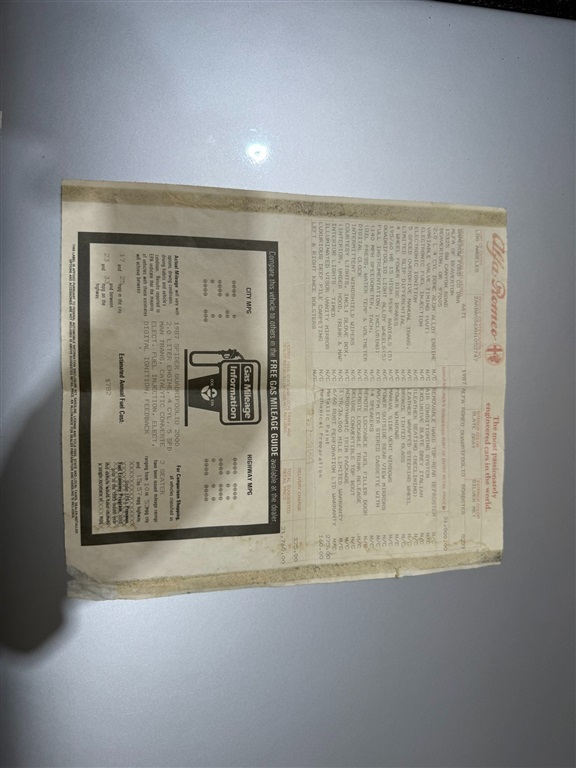 1987 Alfa Romeo Spider Quadrifoglio 48