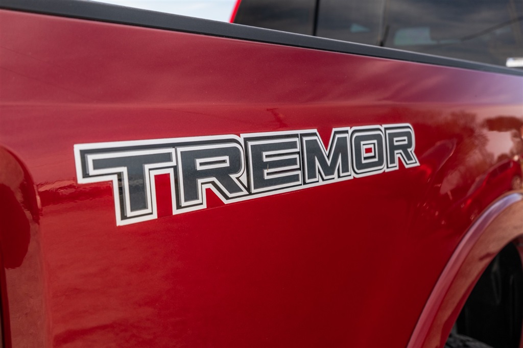 FordF250 SUPER DUTY LARIAT TREMOR10